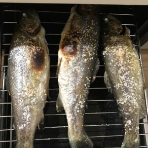 ニジマスの塩焼き W大根添え すだち レシピ 作り方 By とりあえず乾杯 楽天レシピ ニジマスの塩焼き W大根添え すだち レシピ 作り方 By とりあえず乾杯 楽天レシピ